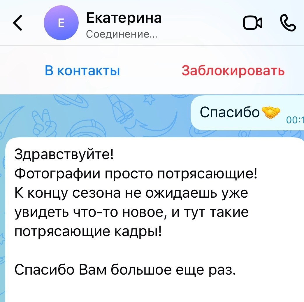 Фотосъёмка соревнований по художественной гимнастике