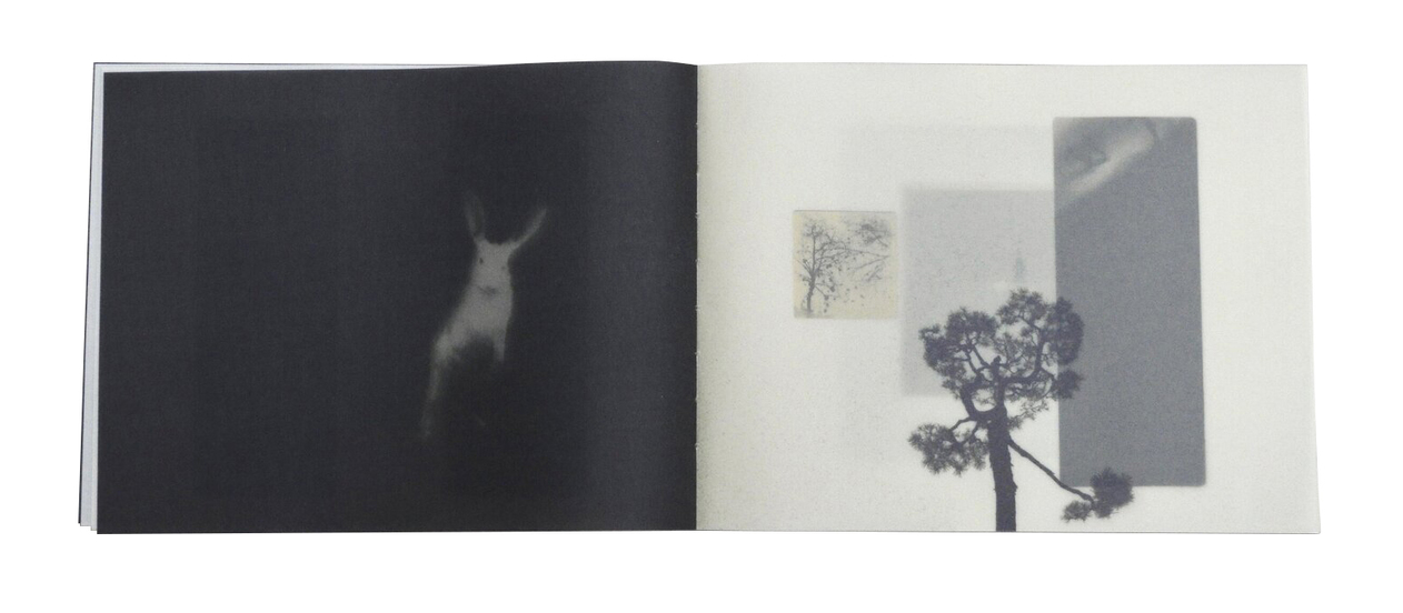 Книга Михо Каджиока «So it goes, so it goes, so it goes». Private image