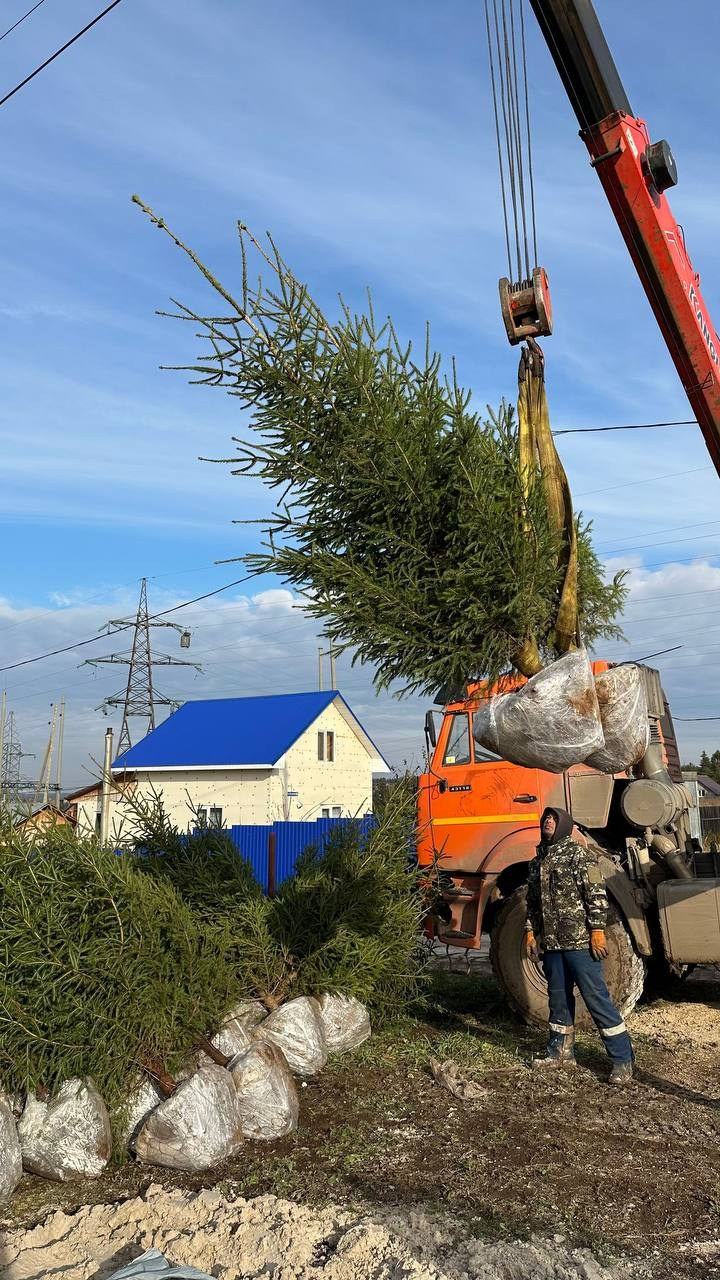 Крупномеры РФ