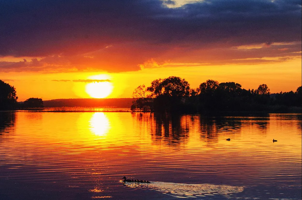 Охота в Беларуси