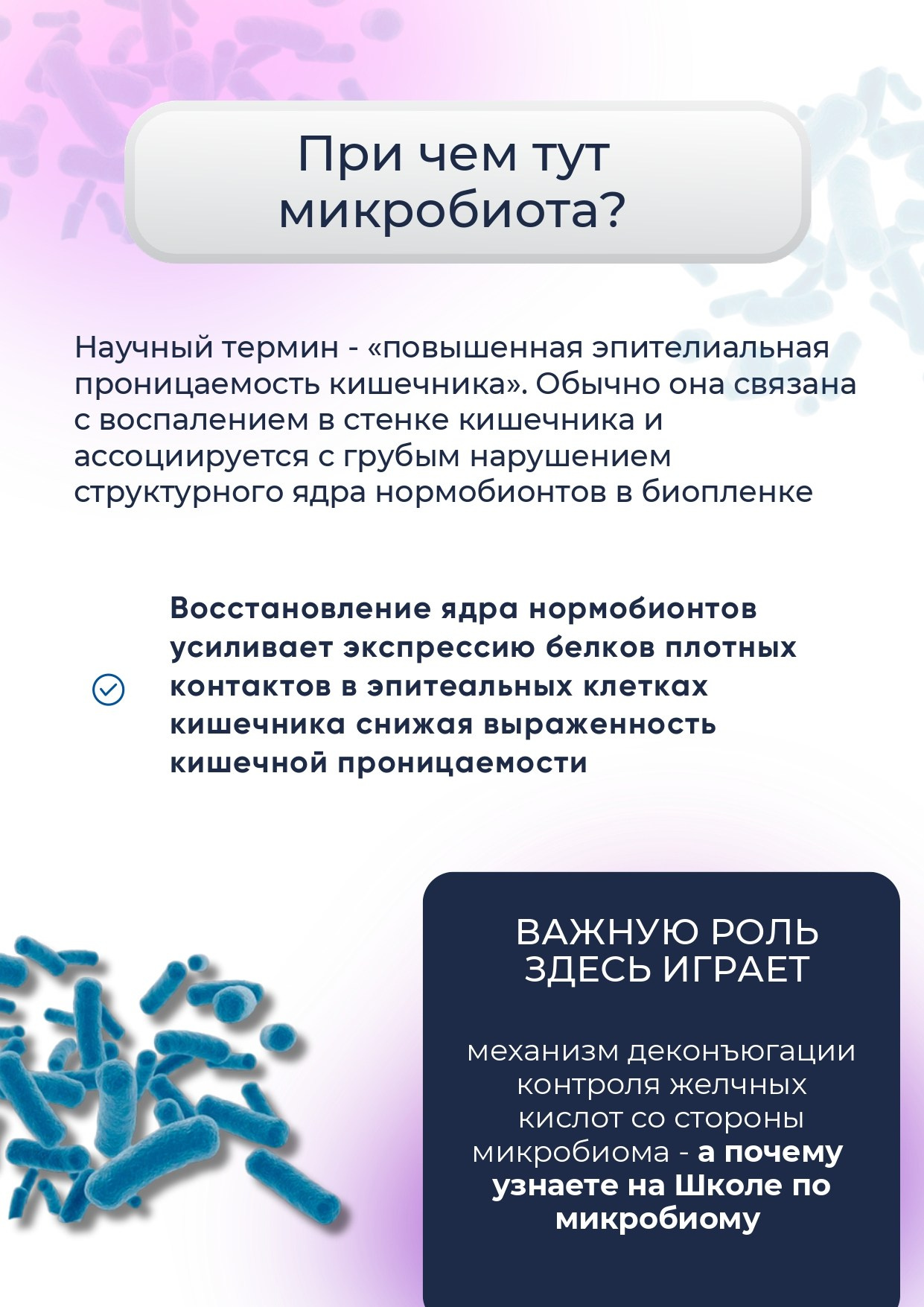 ВедаБиотика. Медицина с душой