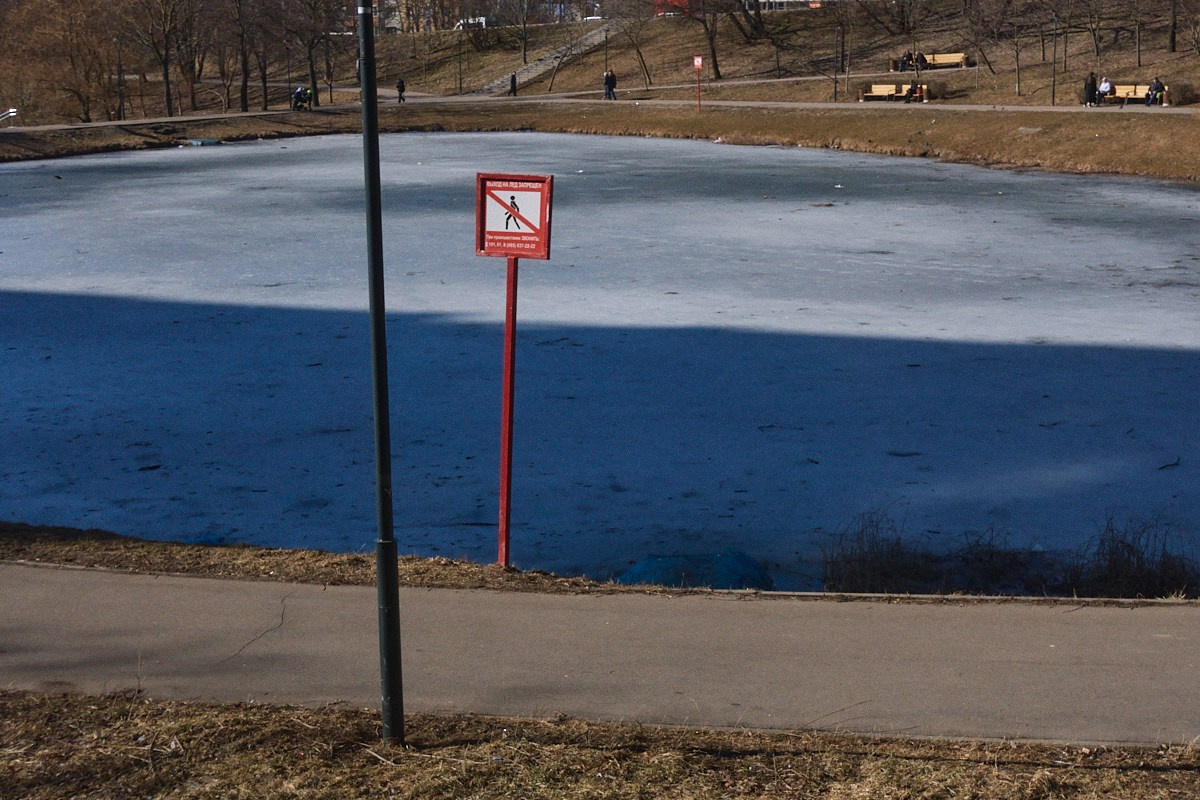 Дневной Сон. Иван Кобяков