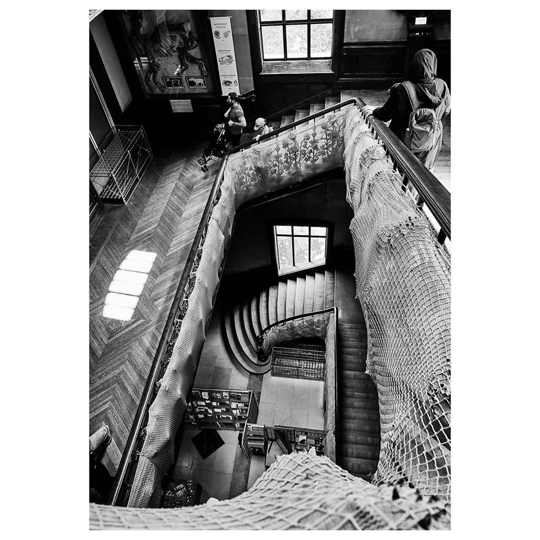 Paris: Download Error