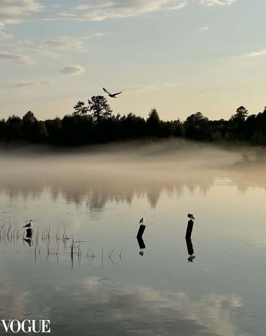 Марина Горбатова. Фотограф