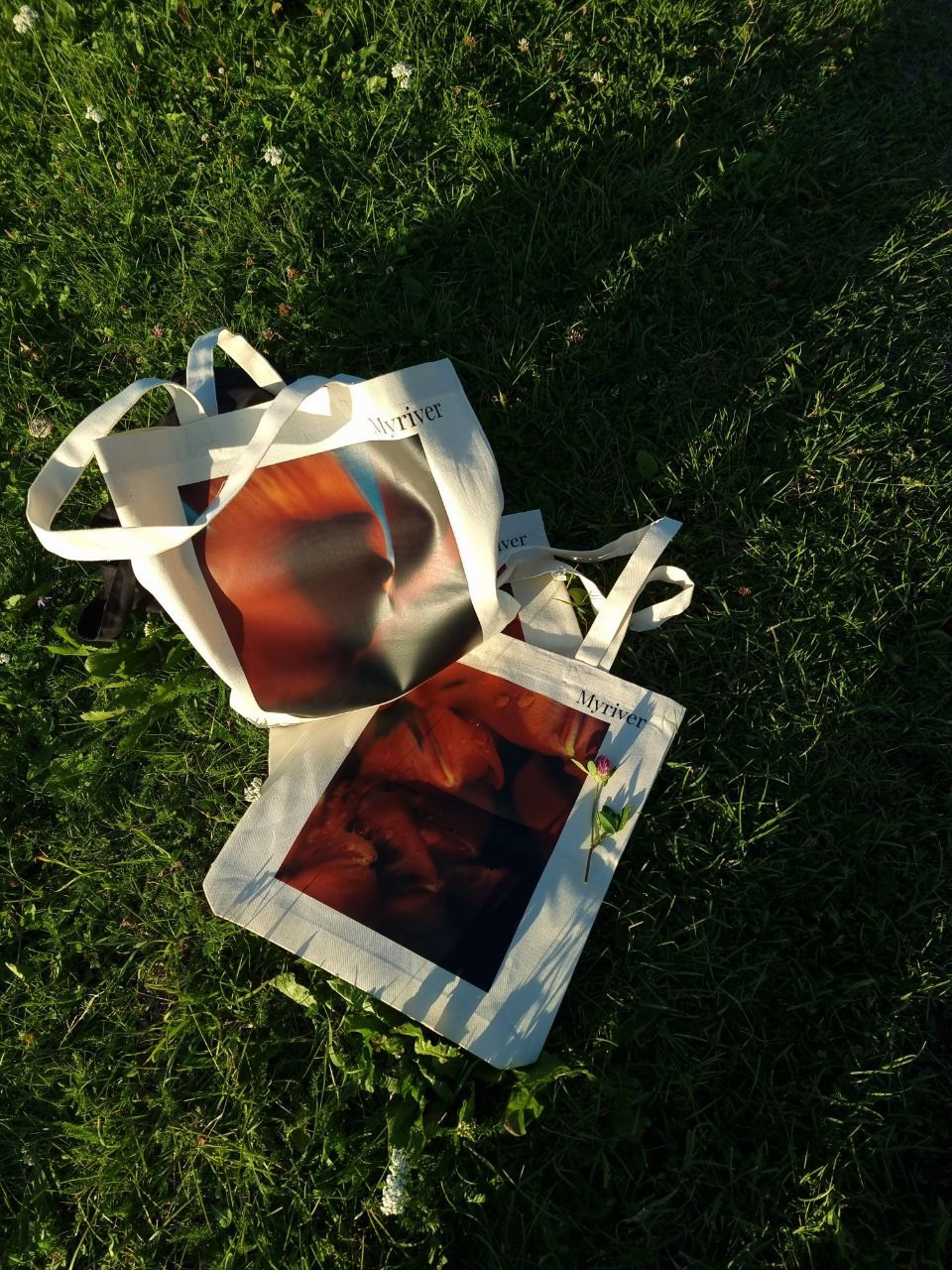 Шоперы. Фотограф из Санкт-Петербурга/Катерина Зайцева