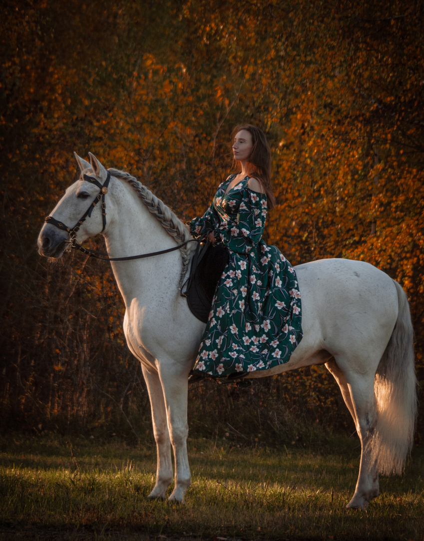 Лошади. Свадебный и портретный фотограф Москва