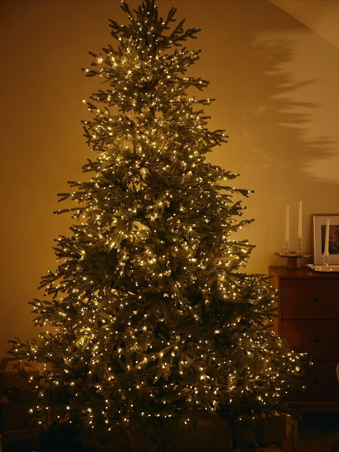 Зал «GRANI». Фотограф для жизни, бизнеса и соц сетей Ирина Нечет, Владивосток