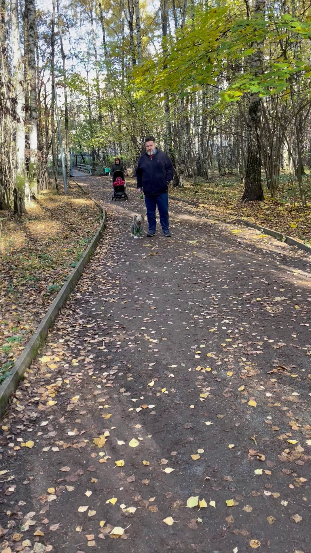 Честер и ко. осенью в Тропарево. Питомник китайских хохлатых собак Poale Ell: купить щенка в питомнике