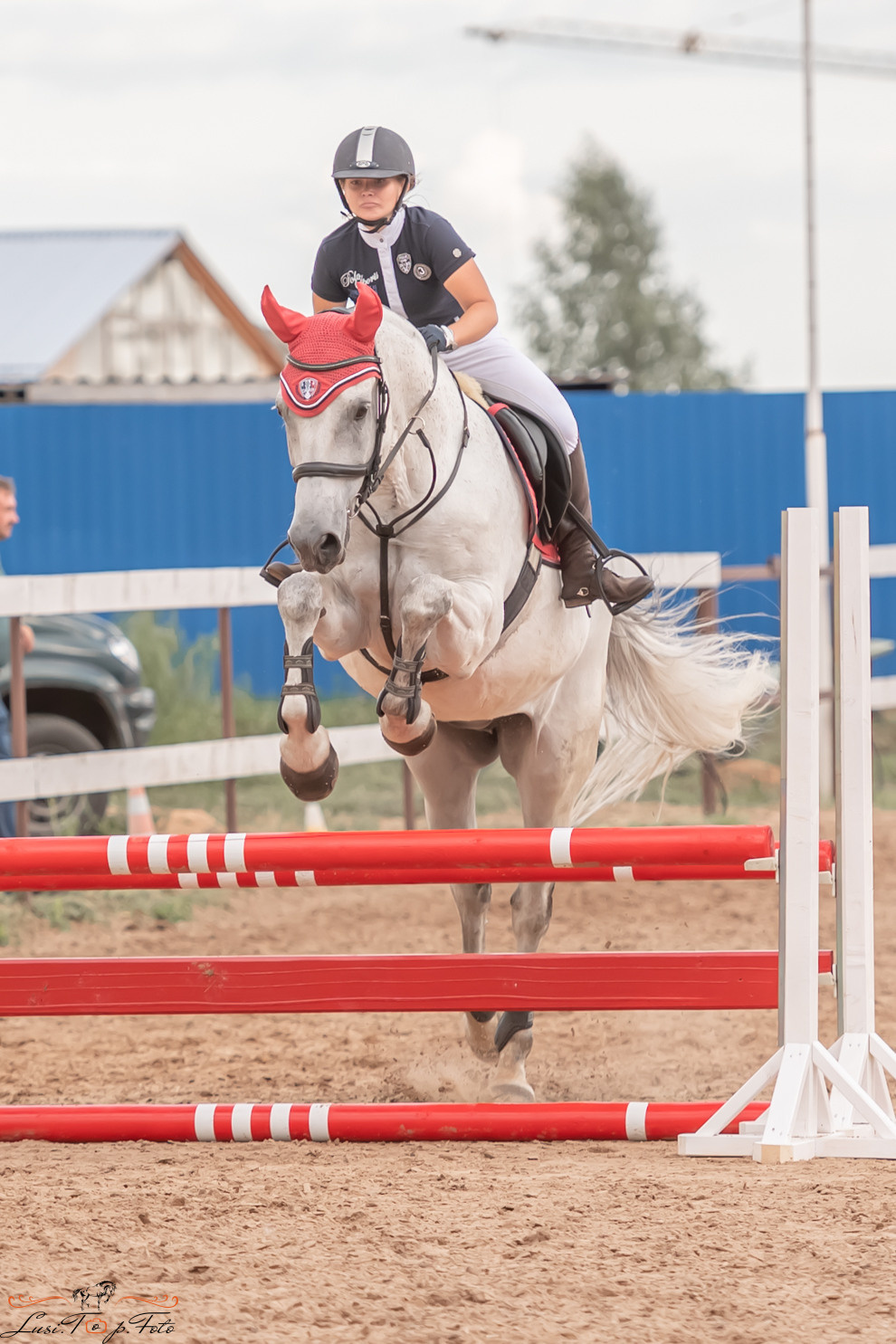 Открытая тренировка по выездке и конкуру в КК Резвая. Конный и фотограф с животными в Твери Топталова Люся