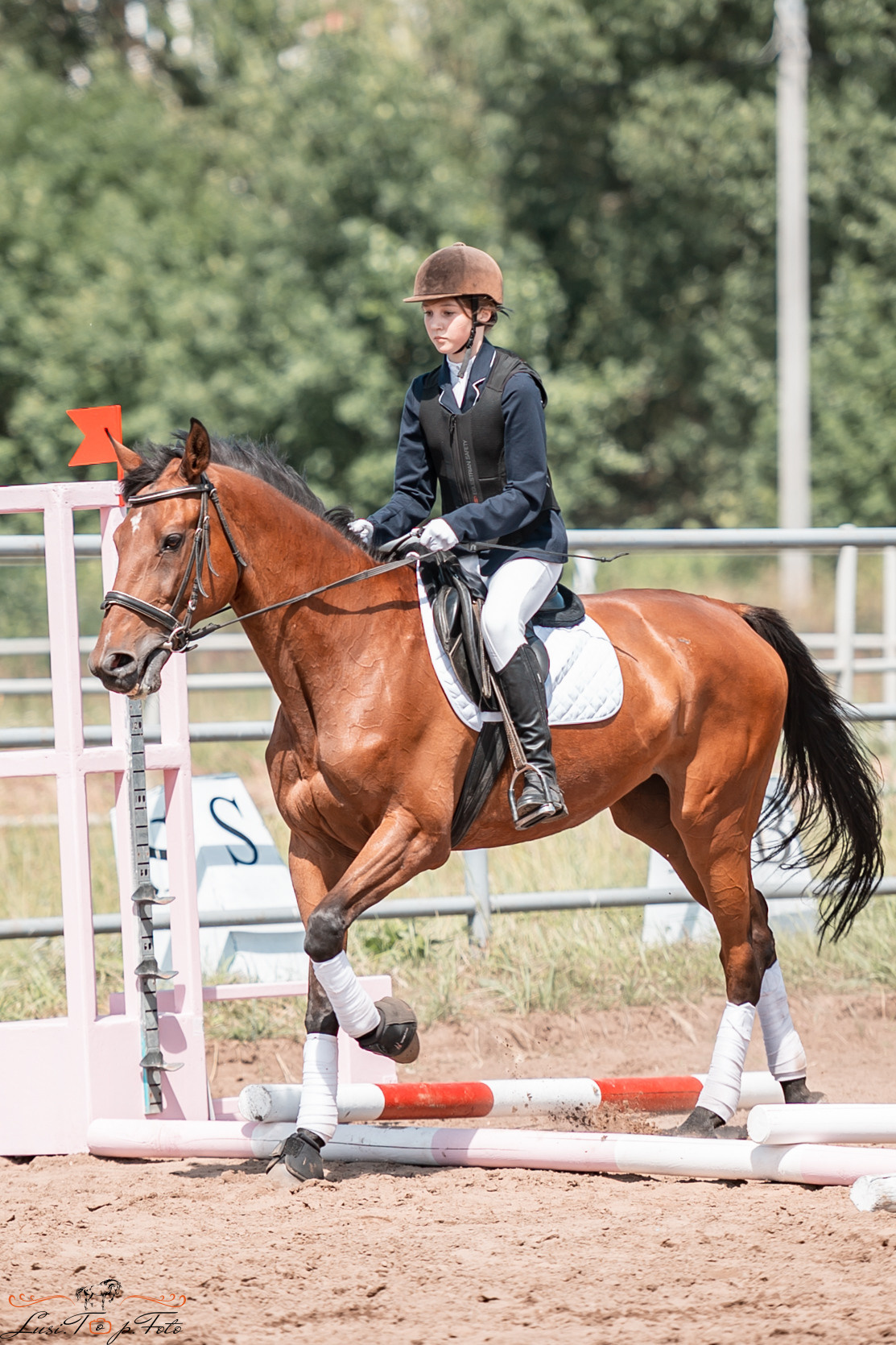 Первенство Тверской области по конкуру на Тверском ипподроме. Конный и фотограф с животными в Твери Топталова Люся
