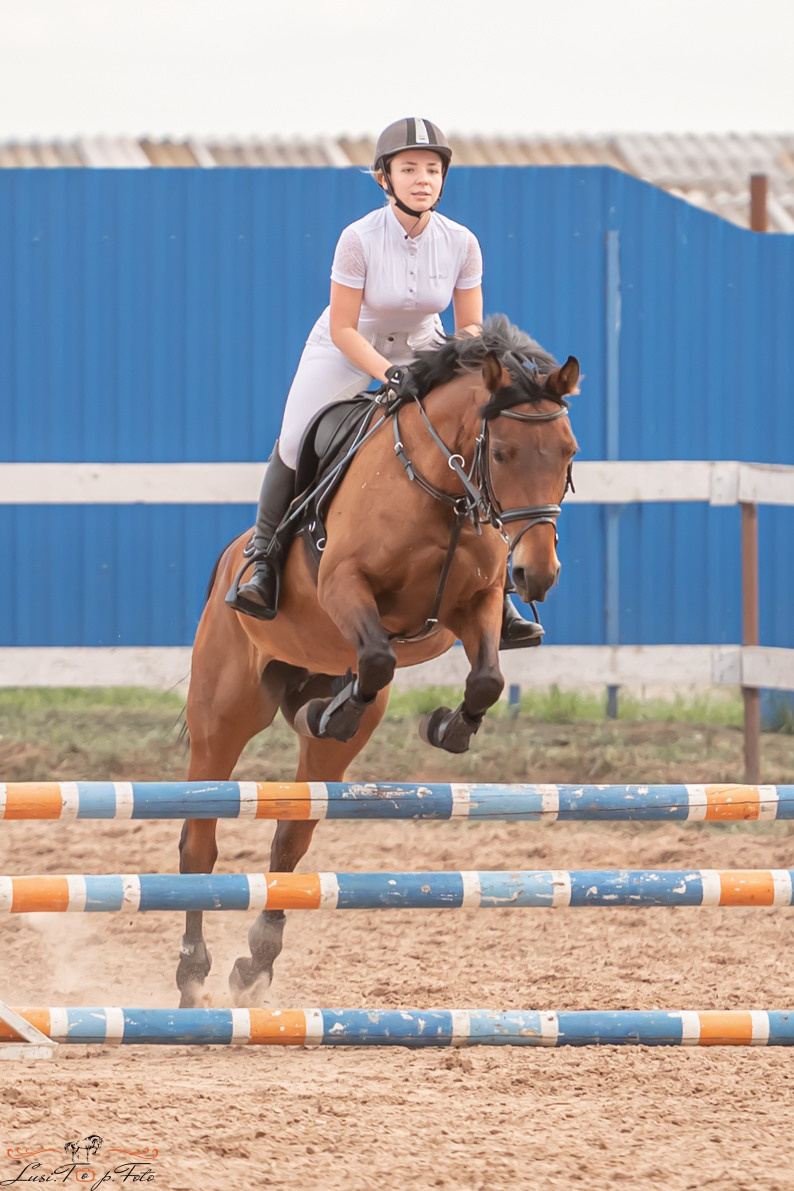 Открытая тренировка по выездке и конкуру в КК Резвая. Конный и фотограф с животными в Твери Топталова Люся
