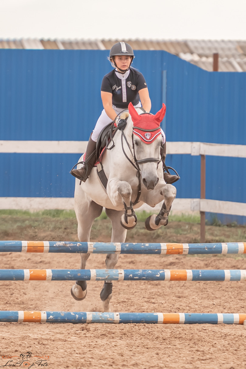 Открытая тренировка по выездке и конкуру в КК Резвая. Конный и фотограф с животными в Твери Топталова Люся