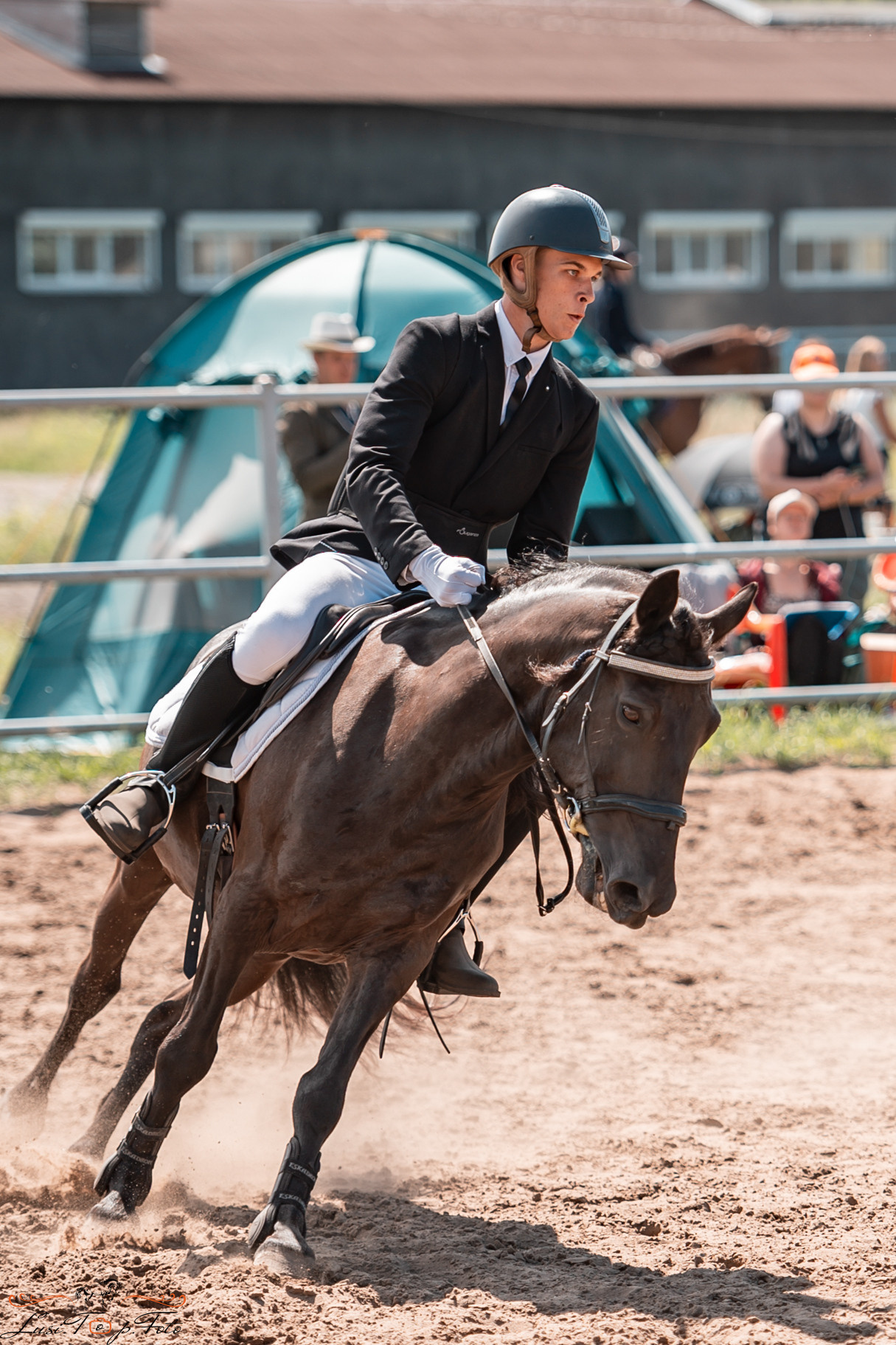 Первенство Тверской области по конкуру на Тверском ипподроме. Конный и фотограф с животными в Твери Топталова Люся