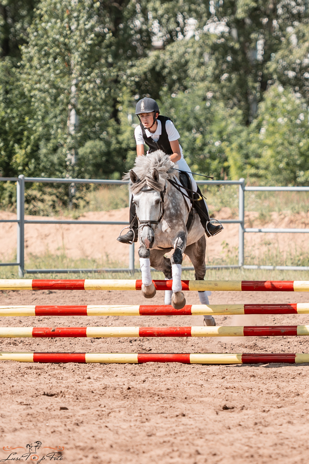 Первенство Тверской области по конкуру на Тверском ипподроме. Конный и фотограф с животными в Твери Топталова Люся