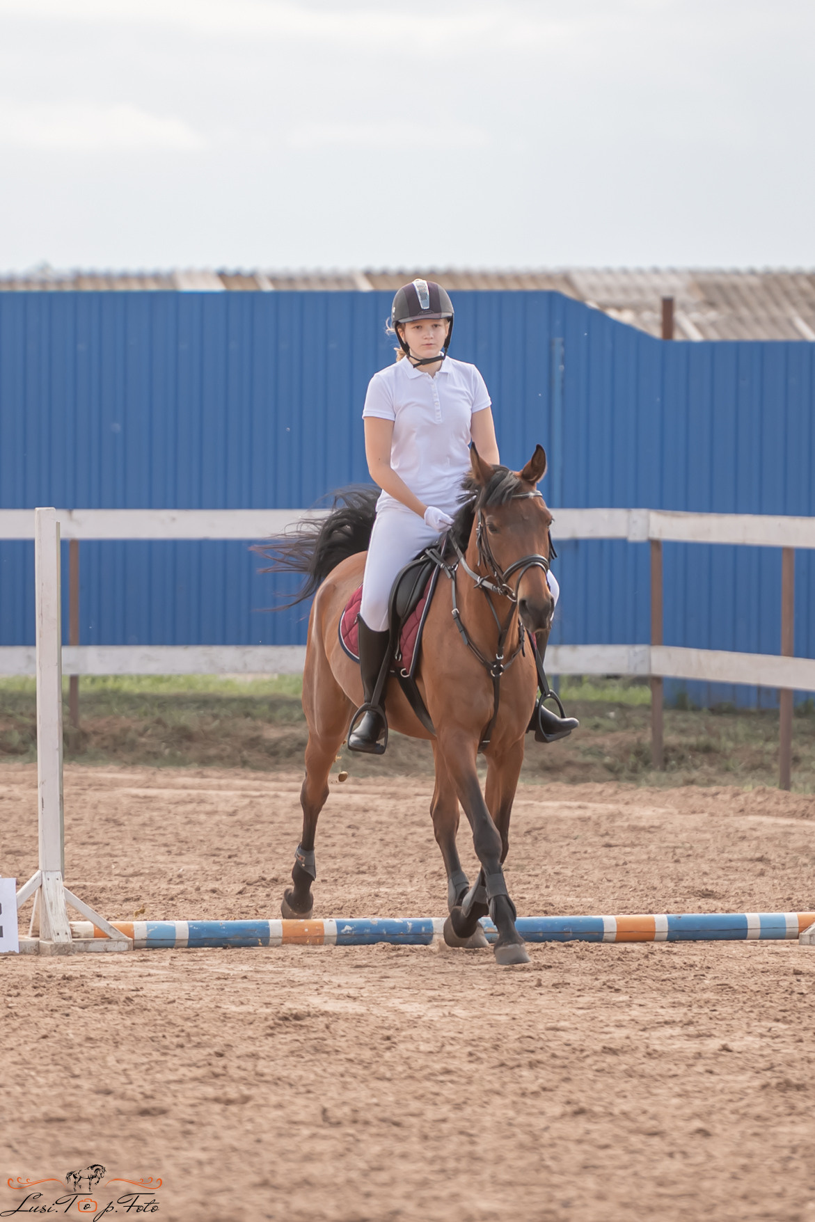 Открытая тренировка по выездке и конкуру в КК Резвая. Конный и фотограф с животными в Твери Топталова Люся