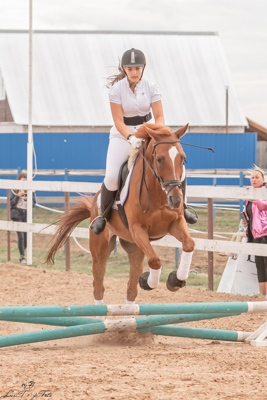Открытая тренировка по выездке и конкуру в КК Резвая. Конный и фотограф с животными в Твери Топталова Люся