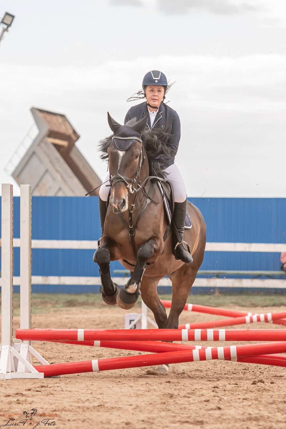 Открытая тренировка по выездке и конкуру в КК Резвая. Конный и фотограф с животными в Твери Топталова Люся
