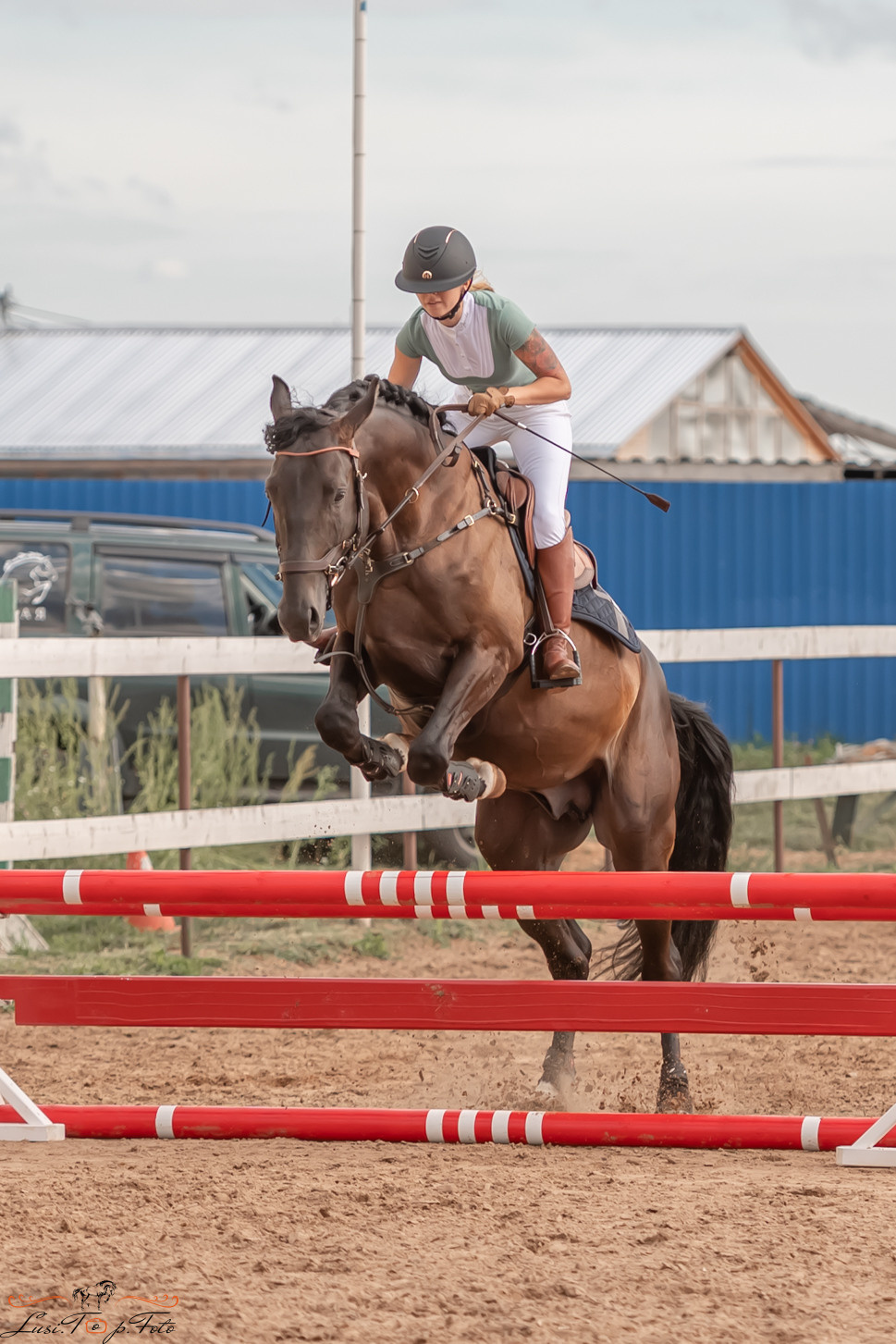 Открытая тренировка по выездке и конкуру в КК Резвая. Конный и фотограф с животными в Твери Топталова Люся