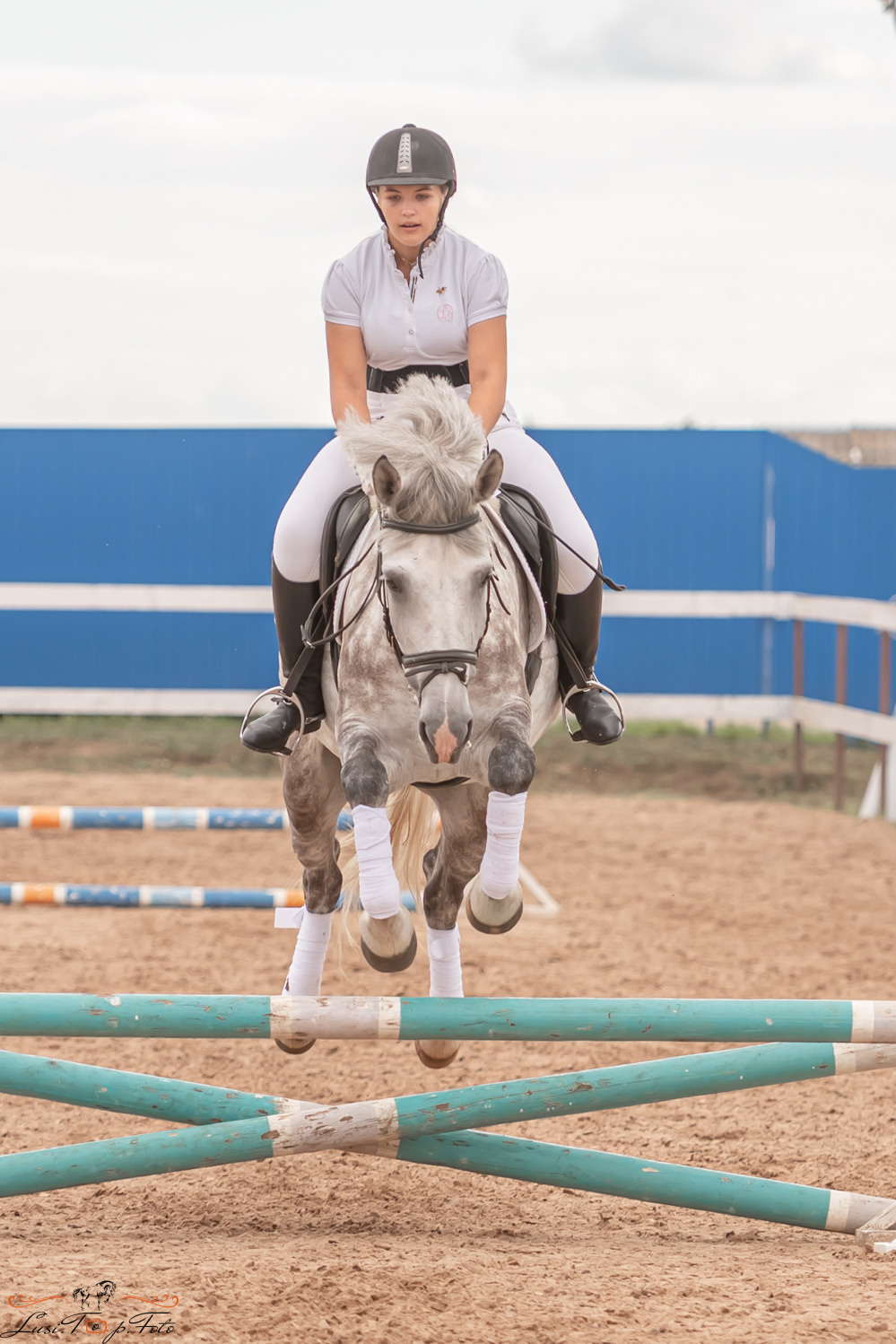 Открытая тренировка по выездке и конкуру в КК Резвая. Конный и фотограф с животными в Твери Топталова Люся