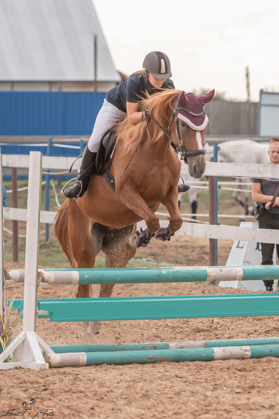 Открытая тренировка по выездке и конкуру в КК Резвая. Конный и фотограф с животными в Твери Топталова Люся