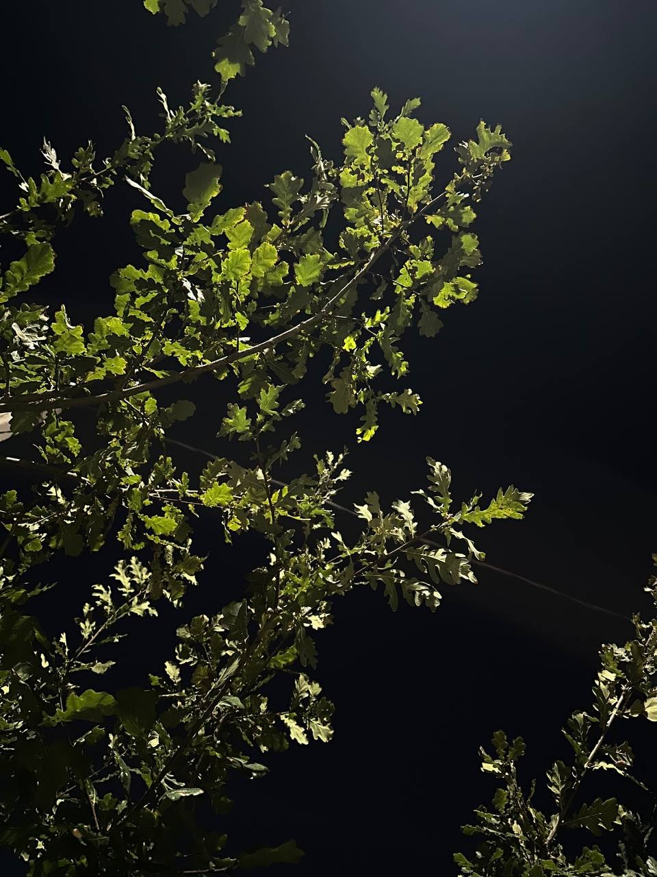 Марафон креативной фотографии. Vladimir Borele Photographer