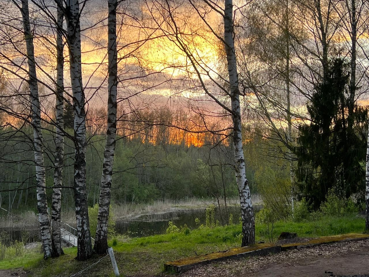 Пленэр на Академической даче им. И. Е. Репина с 12.05.2025. Живописец Ирина Пинская