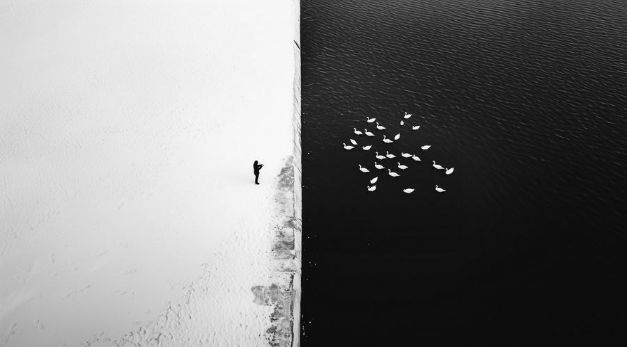 Мельников Максим Андреевич. Галерея участников Российской Премии Искусств