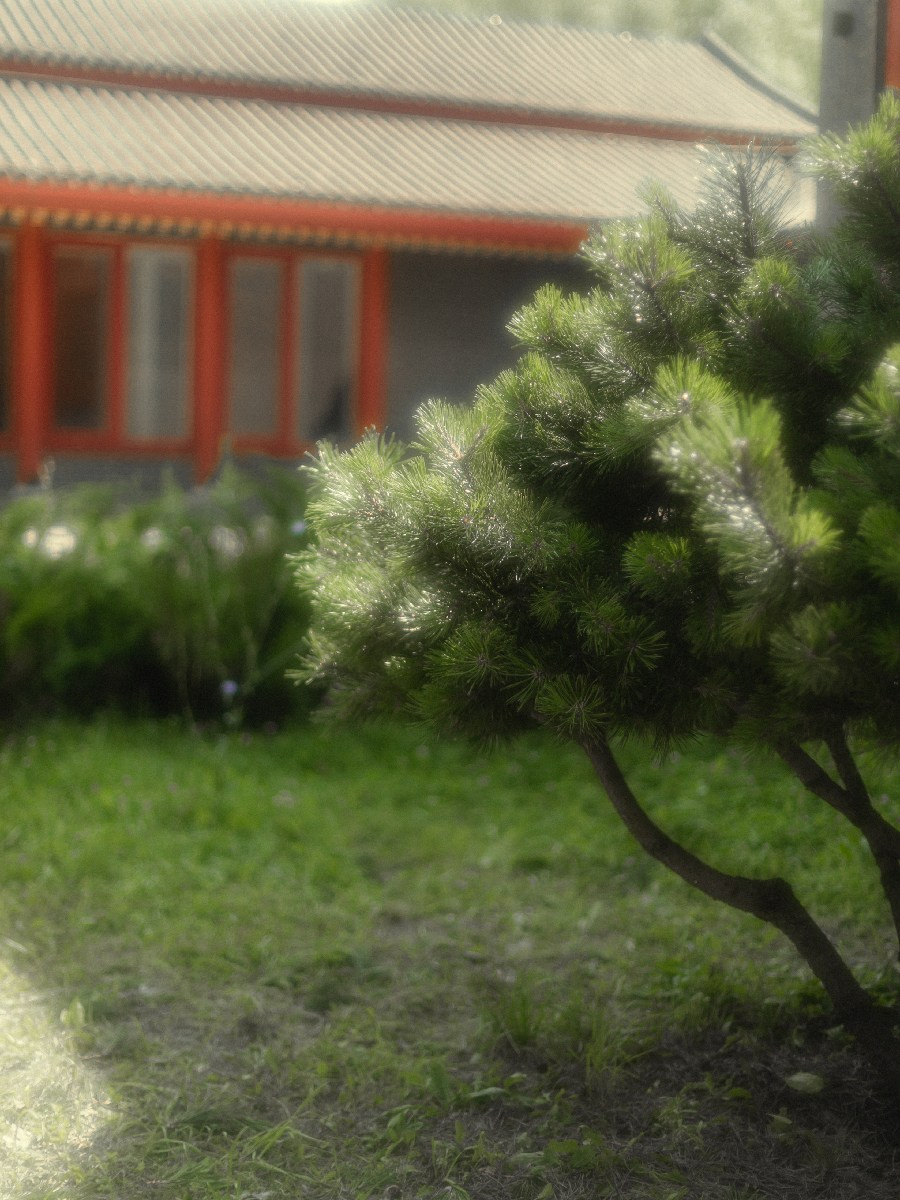 Каратэ-пацан. Фотограф детей и подростков в Москве Таня Королева