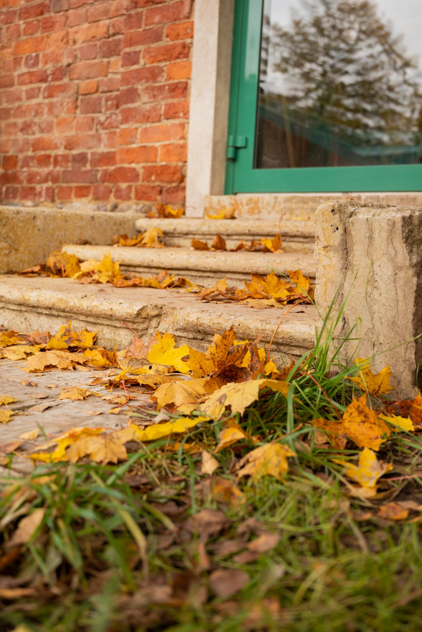 Anouk Moree кейс. SMM, Фотопродакшн в Санкт-Петербурге