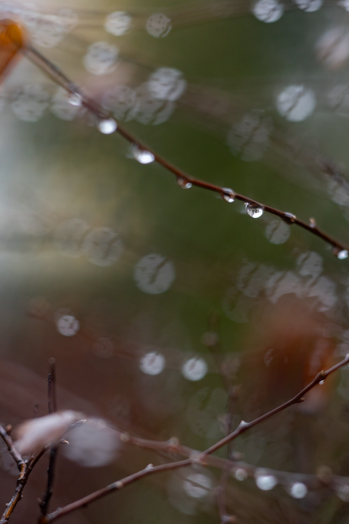 22.03.24 В память об этом дне…. Семейный и детский фотограф |Брянск| Анастасия Перепелкина