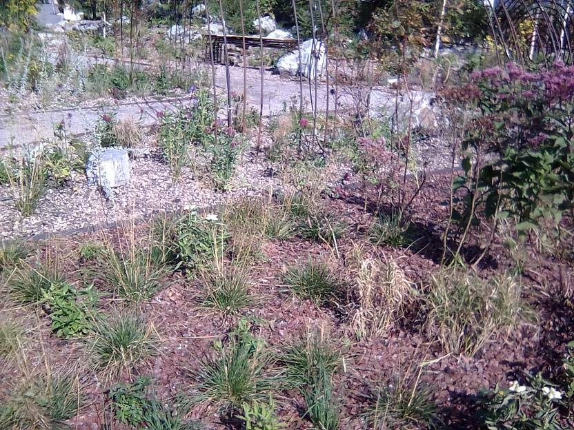 ВНИМАНИЕ! ФЕСТИВАЛЬ ЛАНДШАФТНОГО СТРОИТЕЛЬСТВА. 俄罗斯设计估算