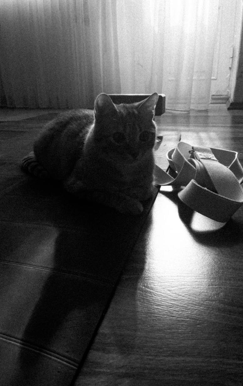 МАРАФОН ФОКУС НА ПРЕКРАСНОМ. Фотограф Анастасия Дмитриева