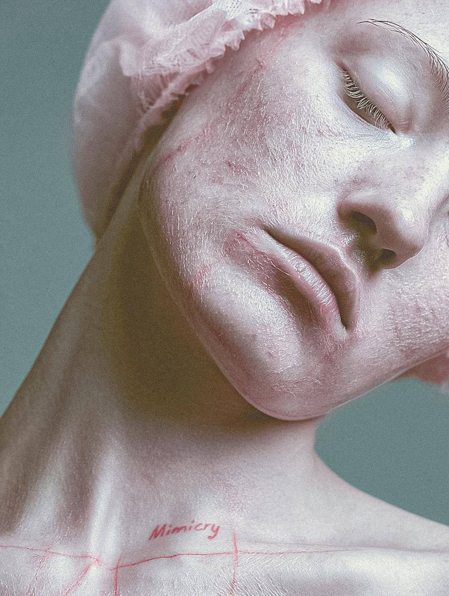 Mimicry. WAYS12