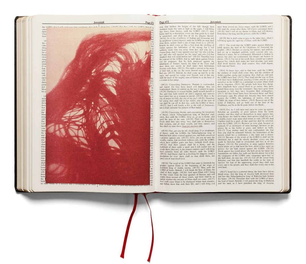 Книга Holy Bible Оливера Чанарина и Адама Брумберга. Private image