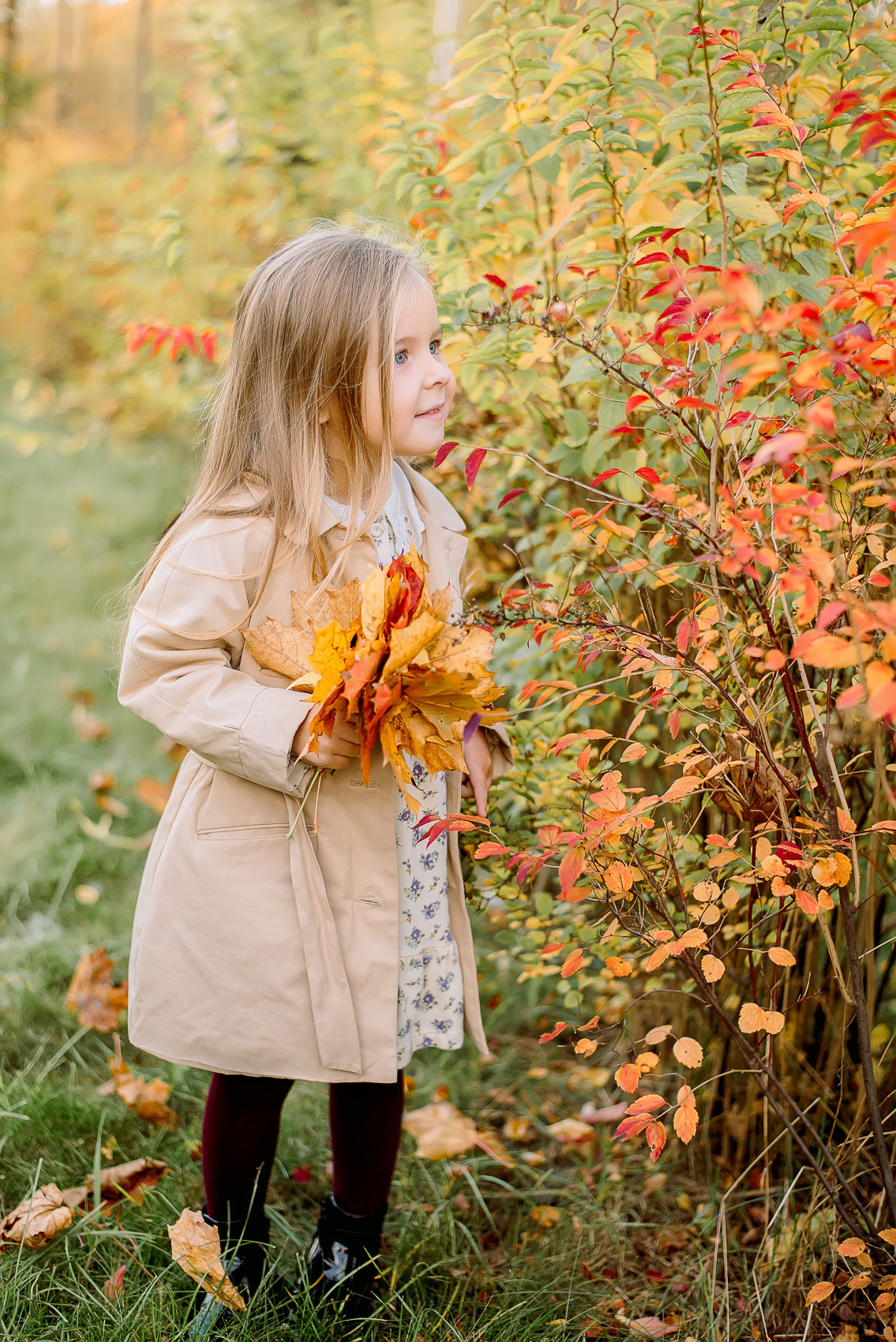 Осенние фотосессии. Семейный и свадебный фотограф Семенова Инна