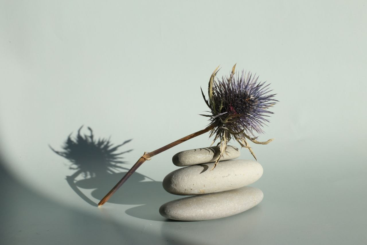 Предметная съёмка. Виктория Максимова, контент-фотограф СПб, онлайн-съёмки