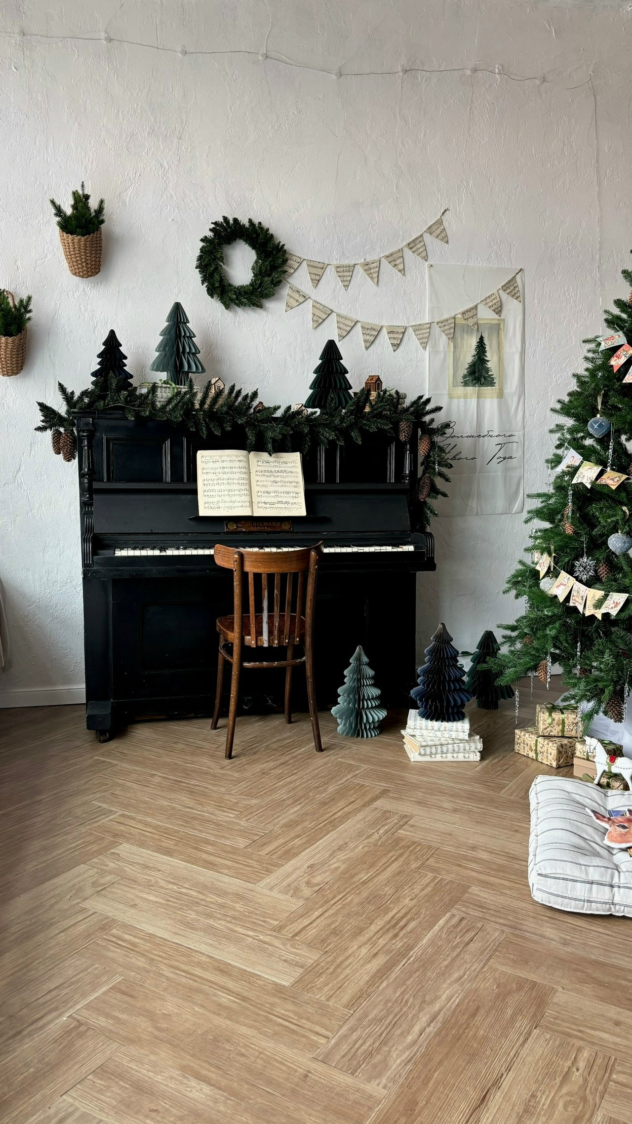 Новогодние залы. Семейный и женский фотограф в Воронеже Ольга Попова