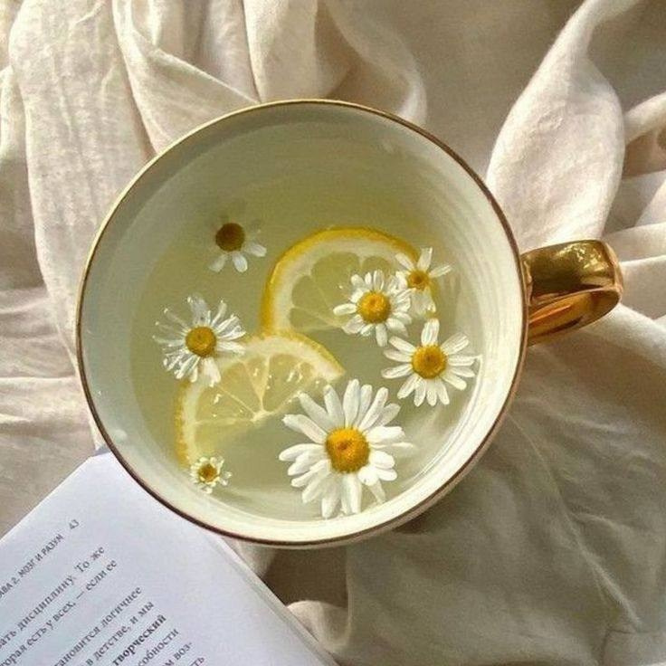 ПИКНИК. ПАРК. ПОЛЕ. СЕМЬЯ. ЛЕТО