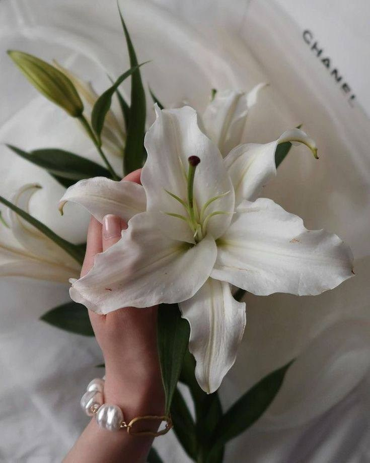 Весенние фотосессии в Нижнем Новгороде. Фотограф и видеограф Елена Лисина