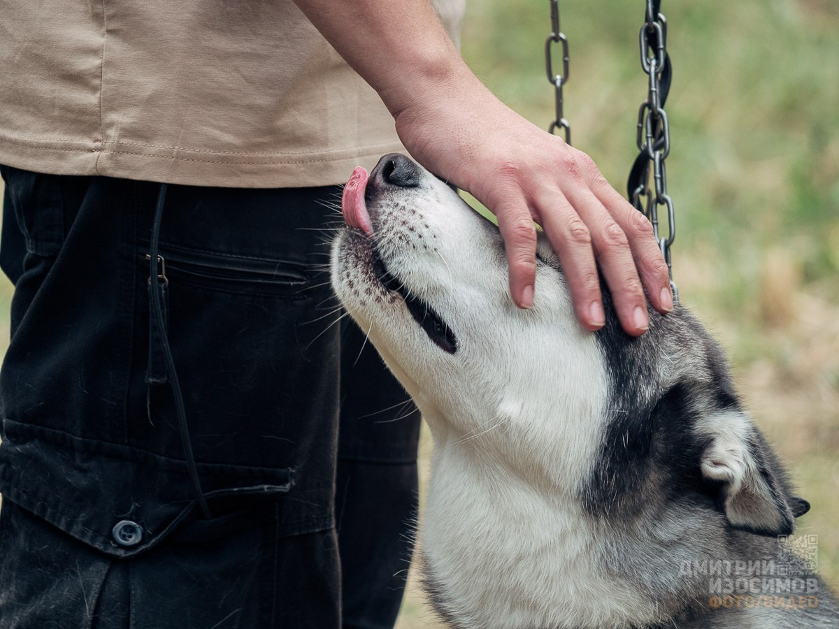 Фестиваль «Ключ»