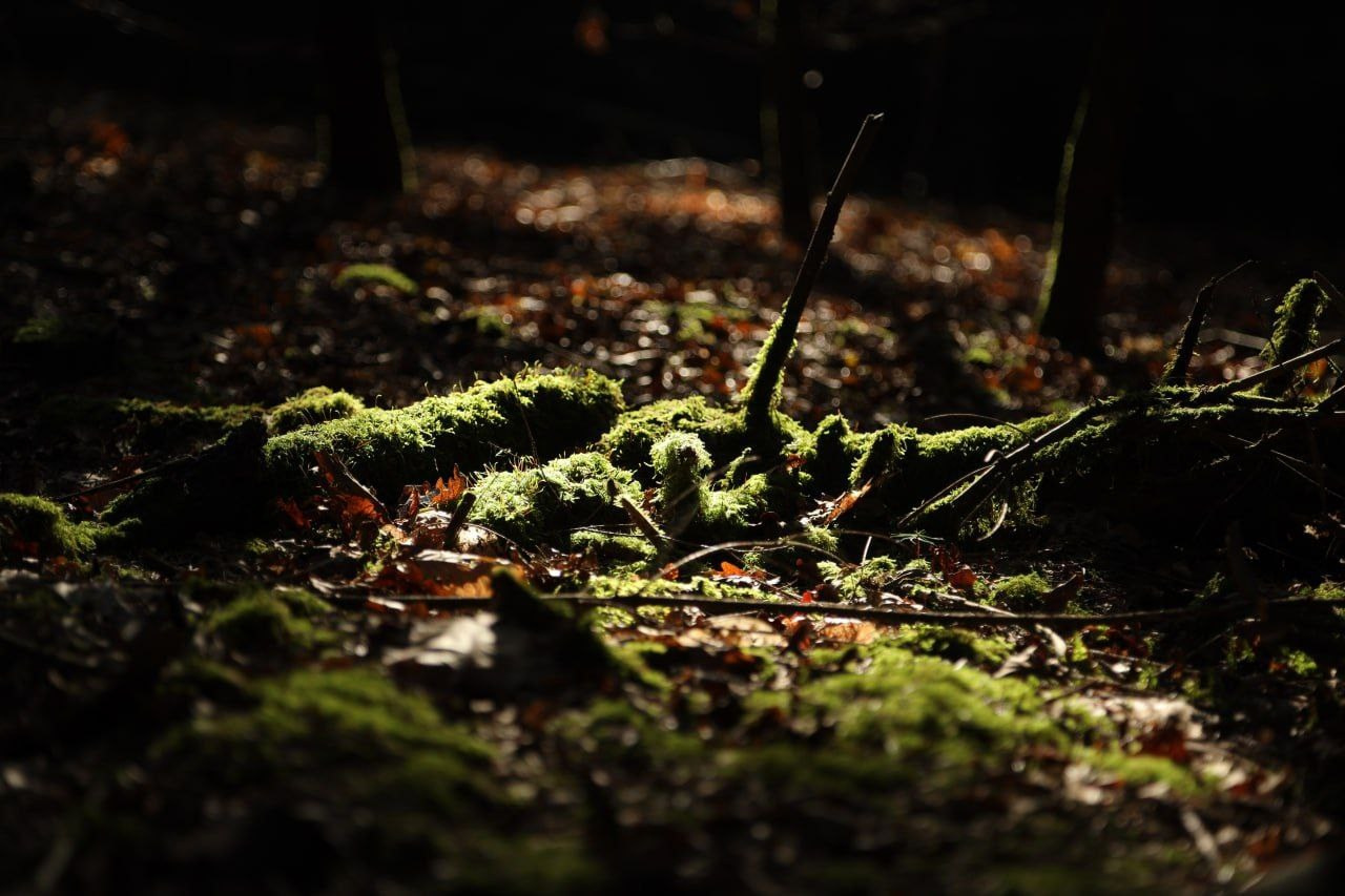 Марафон креативной фотографии. Vladimir Borele Photographer