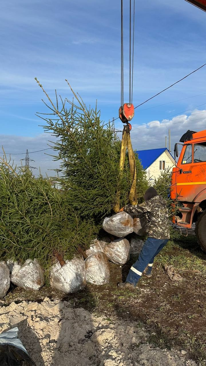 Крупномеры РФ