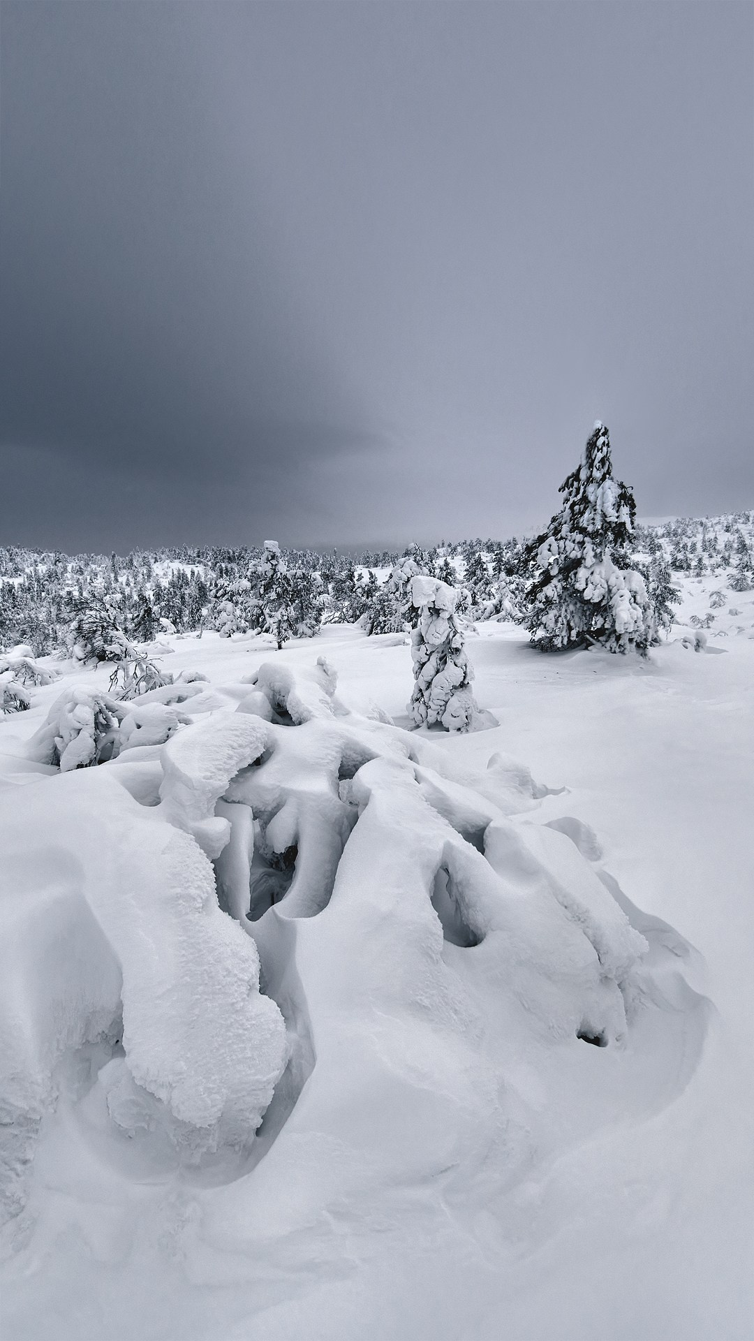 Пейзажи Кольского полуострова — северное сияние, тундра, Баренцево море и горы Хибины. Фотографии дикой природы и северного света на Кольском полуострове. Фотограф Константин Шамин