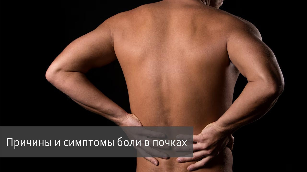 Как получить реферальную ссылку в личном кабинете Сибирское Здоровье