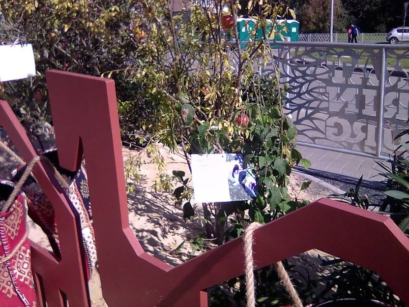 ВНИМАНИЕ! ФЕСТИВАЛЬ ЛАНДШАФТНОГО СТРОИТЕЛЬСТВА. 俄罗斯设计估算