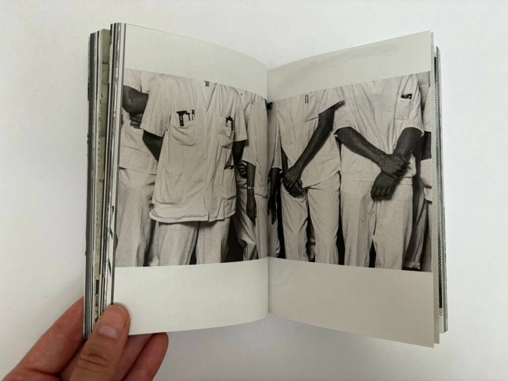 Книга Ройсин Уайт (Róisín White) «Lay Her Down Upon Her Back». Private image