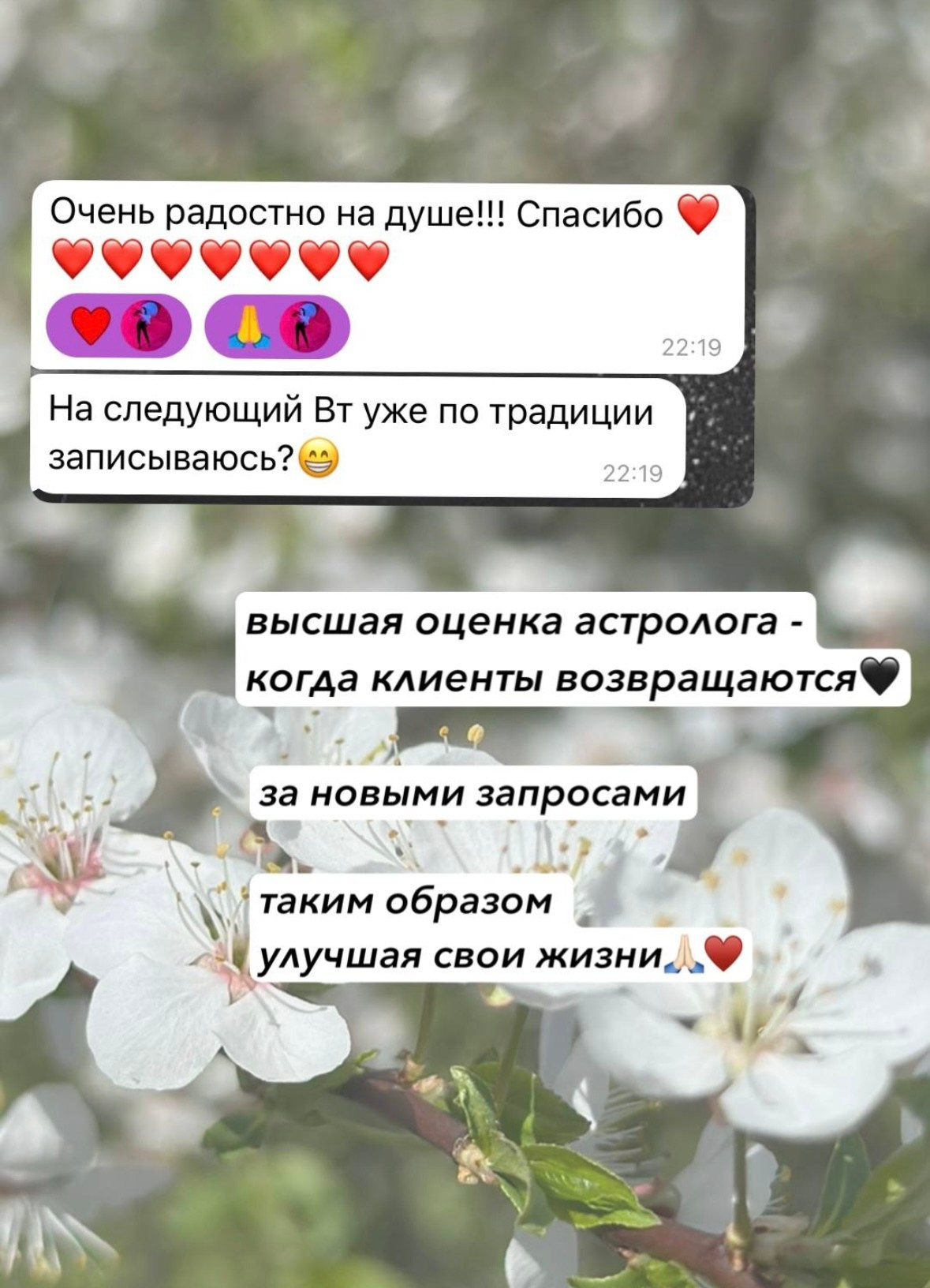 Услуги и цены