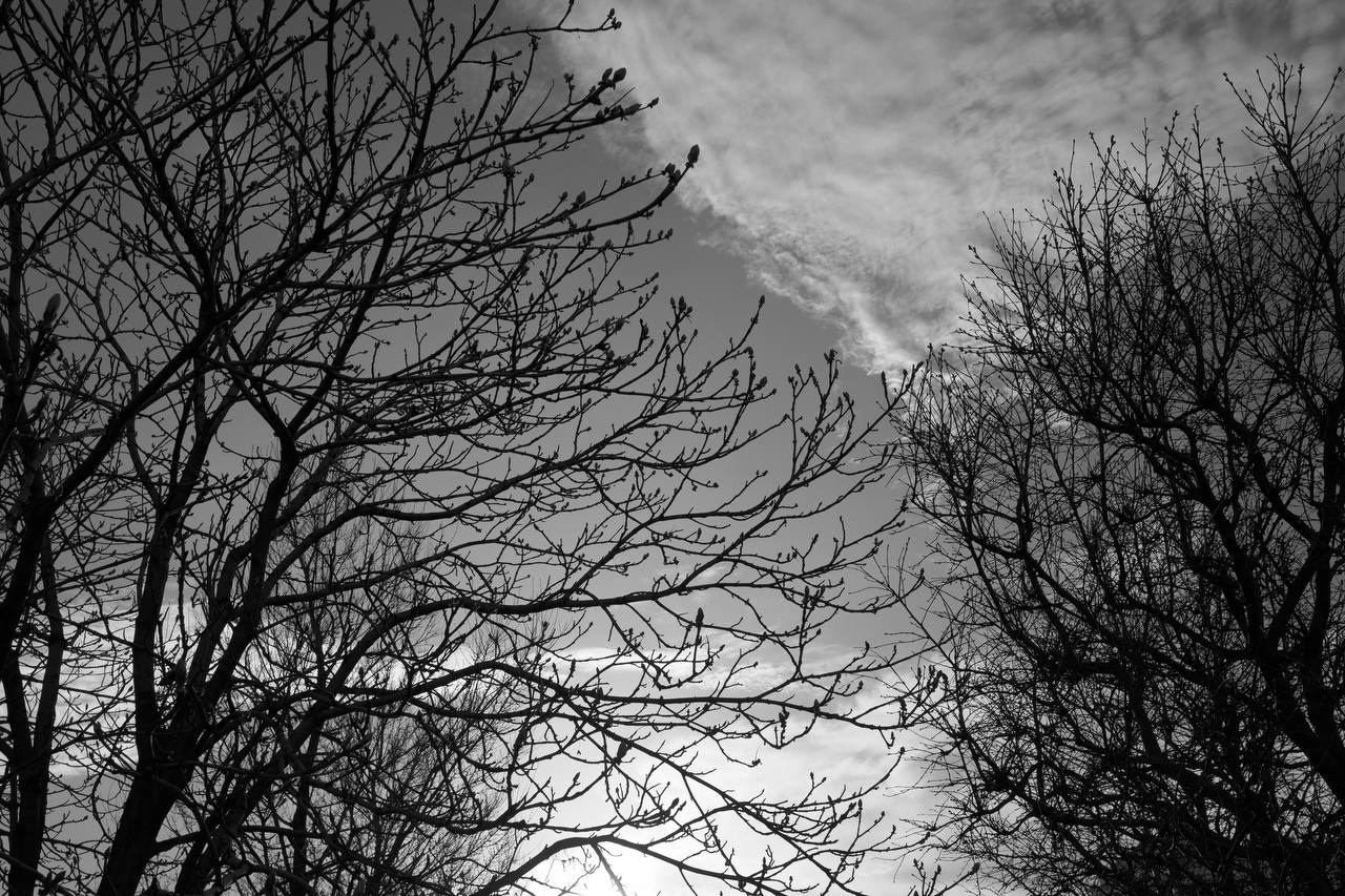 Фотопрогулка — Moscow FreeFlow. PHOTO COMMUNITY #SBERTEAM