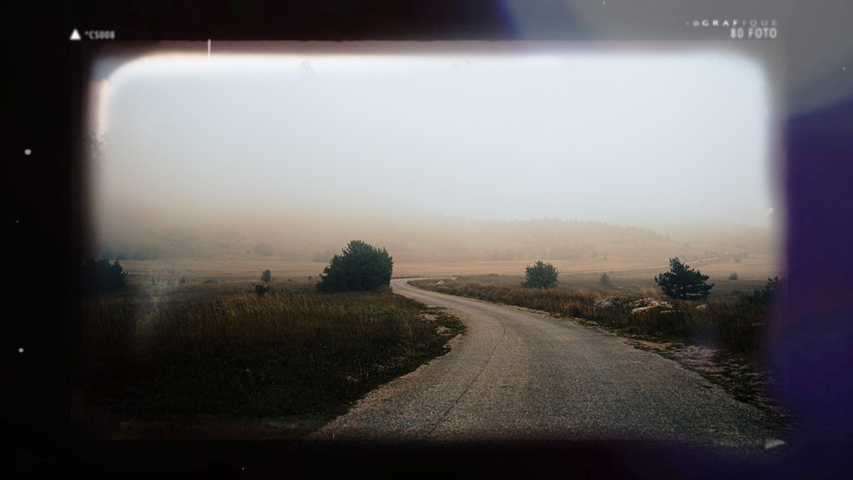 Фотограф из Москвы — DASHA NOVA | Авторская фотография в разных жанрах