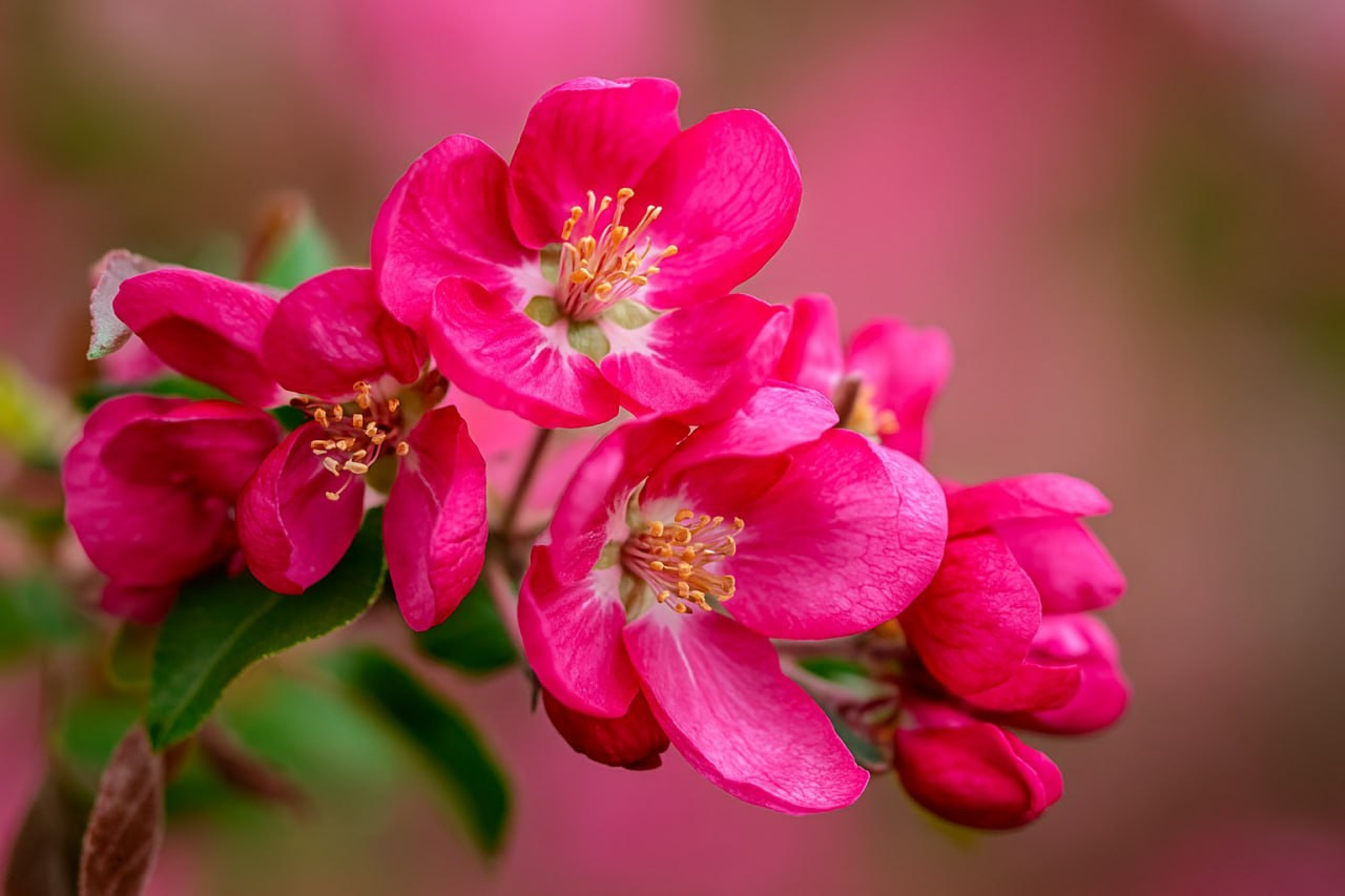 Фотостудия в Москве LUXARTPHOTO